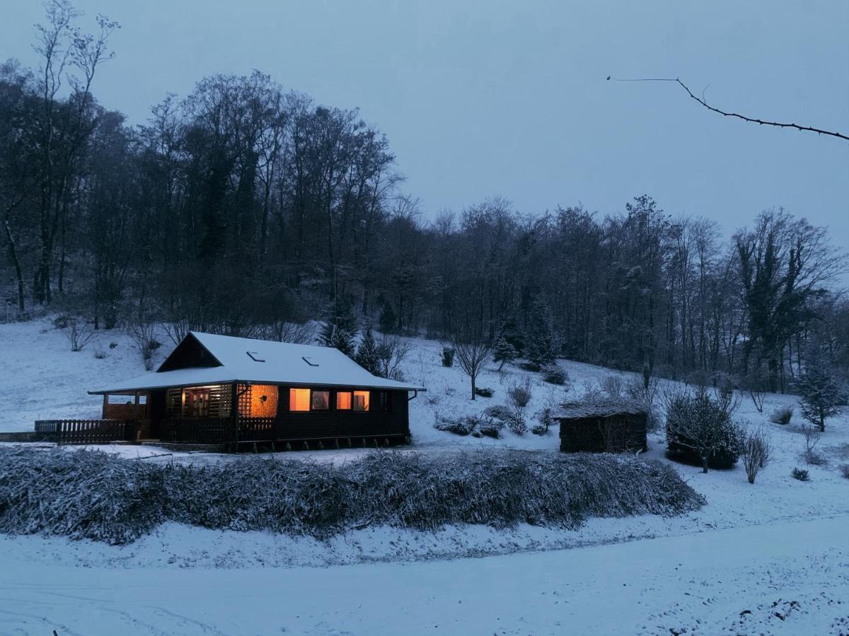 Kuca Za Odmor Roko Villa Szentivánzelina Kültér fotó